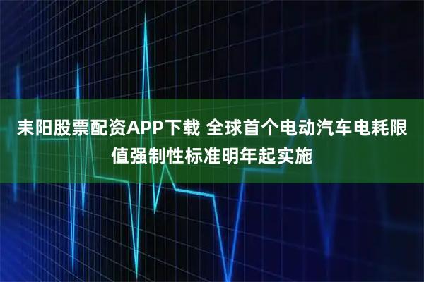 耒阳股票配资APP下载 全球首个电动汽车电耗限值强制性标准明年起实施