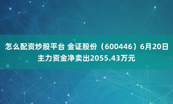 怎么配资炒股平台 金证股份（600446）6月20日主力资金净卖出2055.43万元