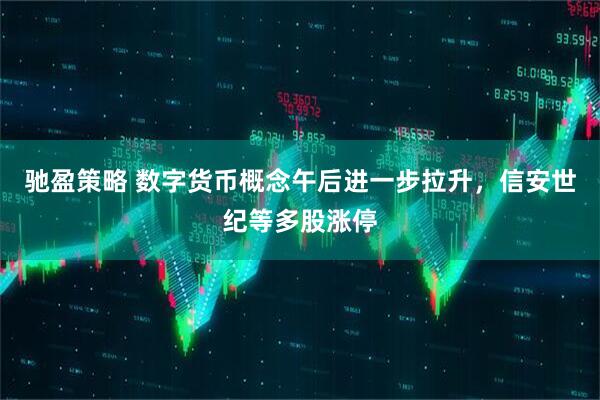 驰盈策略 数字货币概念午后进一步拉升，信安世纪等多股涨停