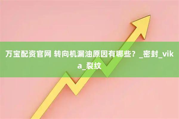 万宝配资官网 转向机漏油原因有哪些？_密封_vika_裂纹