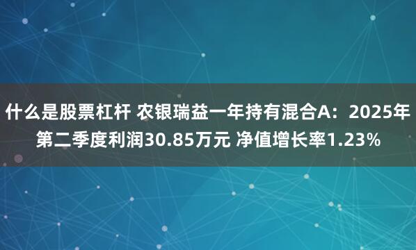 什么是股票杠杆 农银瑞益一年持有混合A：2025年第二季度利润30.85万元 净值增长率1.23%