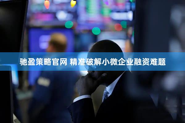 驰盈策略官网 精准破解小微企业融资难题