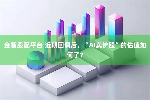 金智股配平台 近期回调后，“AI卖铲股”的估值如何了？
